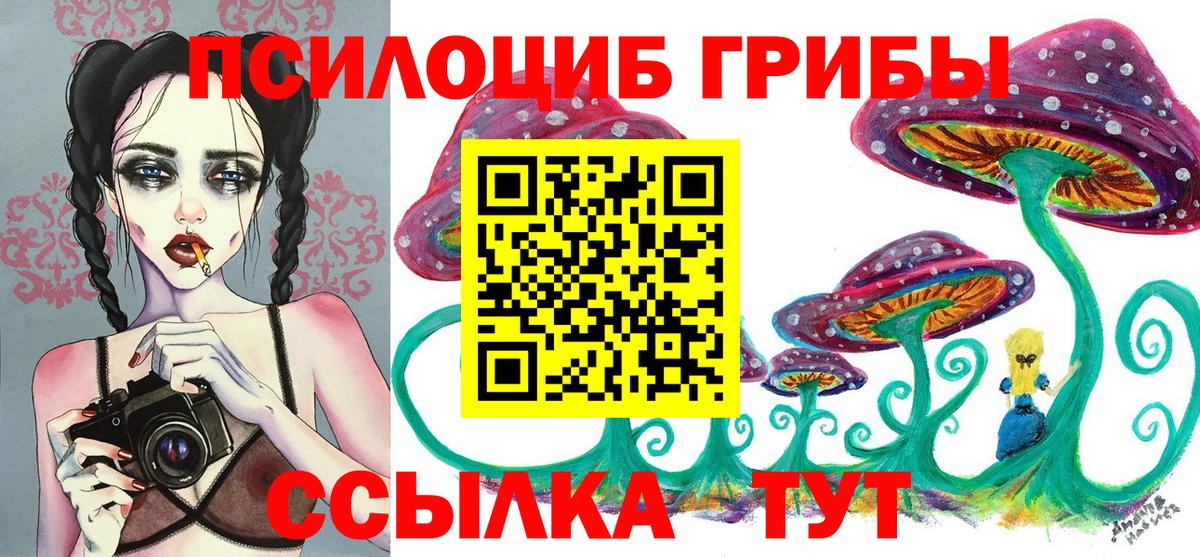 Владимир  Псилоцибиновые грибы GOLDEN TEACHER  Вход с VPN 