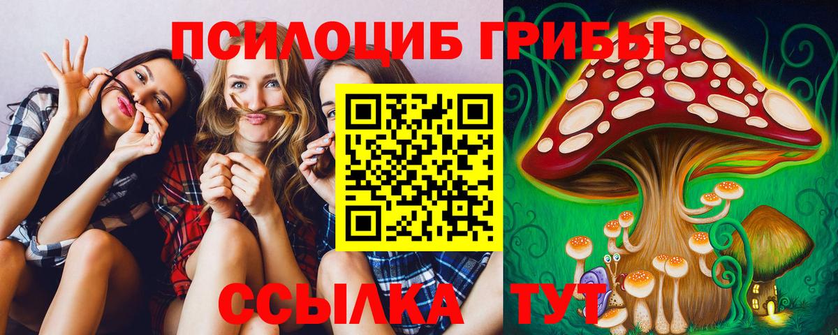 Псилоцибиновые грибы мицелий Владимир